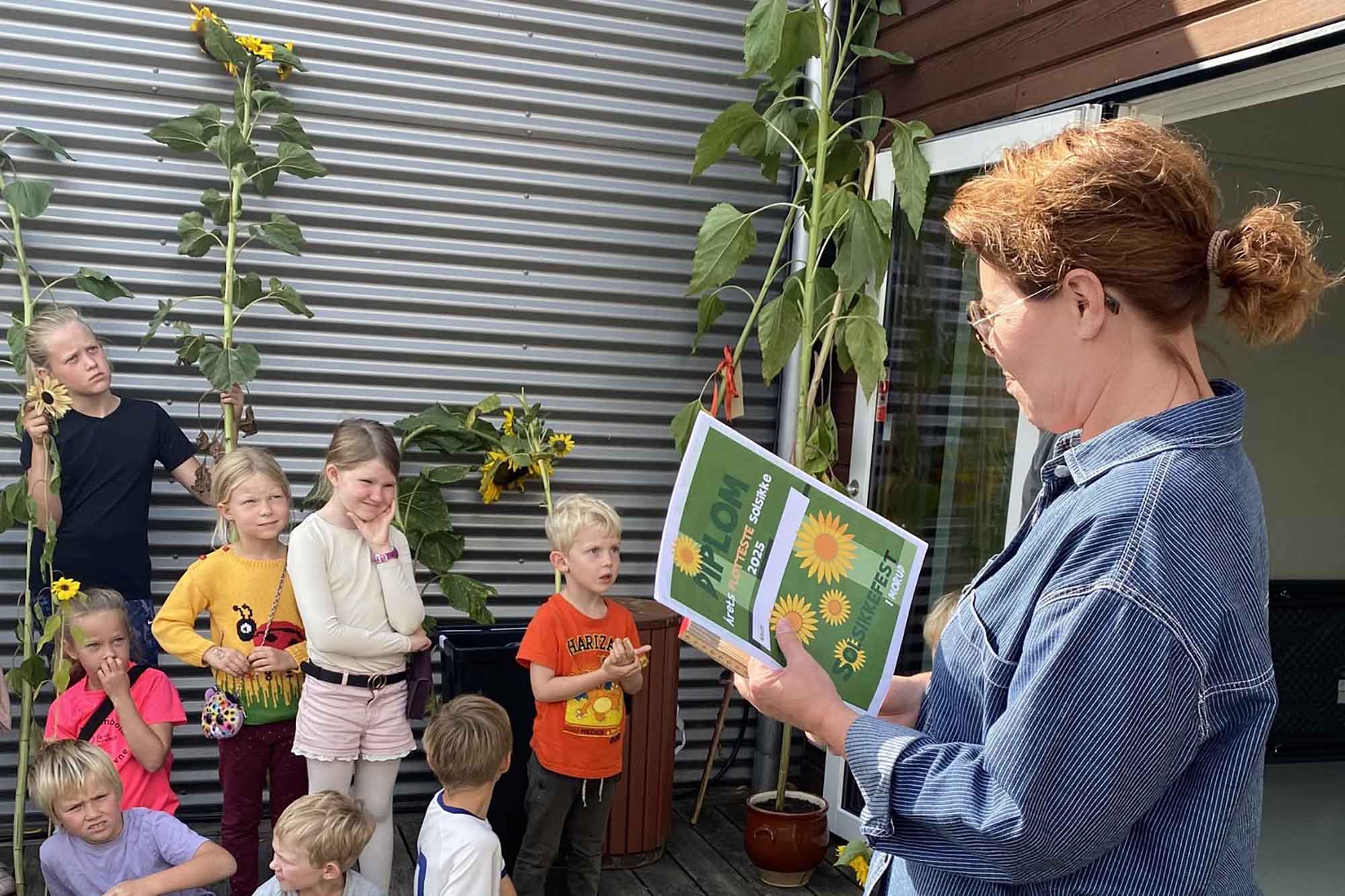 Solsikkefest